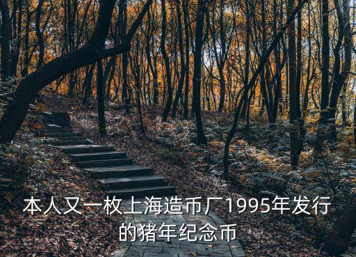 豬年紀念幣，2oo7年豬年發行紀念幣1元紀念幣是錯幣嗎