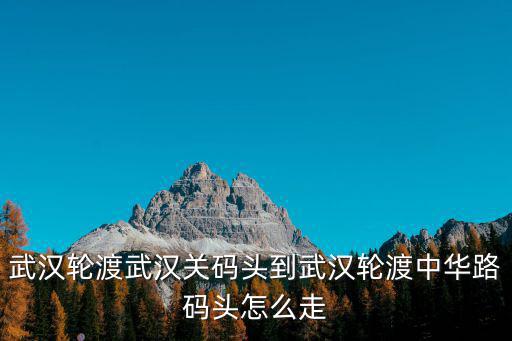 武漢輪渡武漢關(guān)碼頭到武漢輪渡中華路碼頭怎么走
