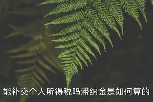 能補交個人所得稅嗎滯納金是如何算的
