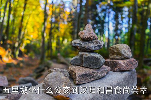 五里墩坐什么公交到漢陽和昌食尚薈萃