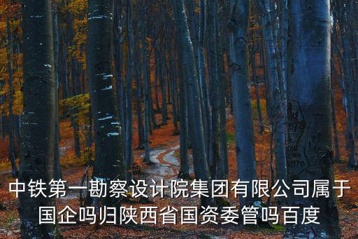 中鐵第一勘察設計院集團有限公司屬于國企嗎歸陜西省國資委管嗎百度