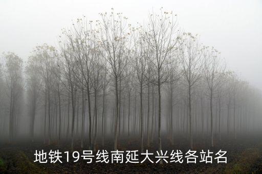 地鐵19號線南延大興線各站名