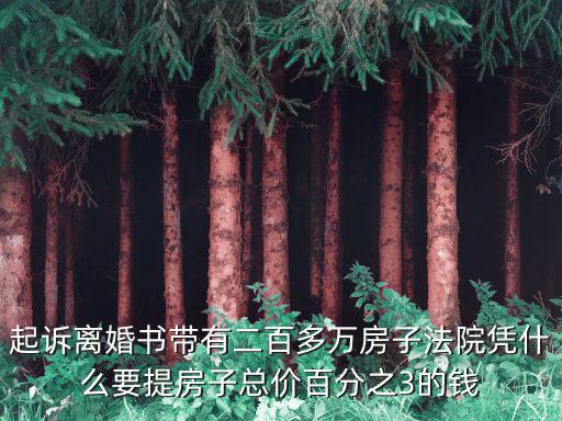 起訴離婚書帶有二百多萬房子法院憑什么要提房子總價百分之3的錢