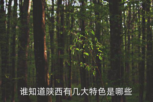 誰知道陜西有幾大特色是哪些