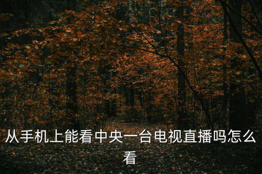 央視1直播，從手機上能看中央一臺電視直播嗎怎么看