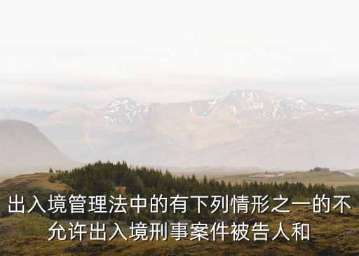 出入境管理法中的有下列情形之一的不允許出入境刑事案件被告人和