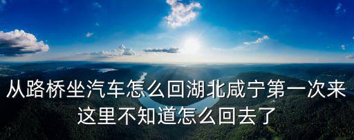 g596，漢口到宜興高鐵路過第一個站是哪個