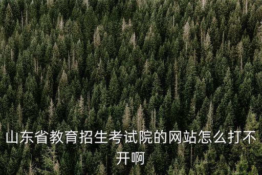山東教育考試網，在山東教育招生考試院網站上怎么查詢考生的錄取進度啊