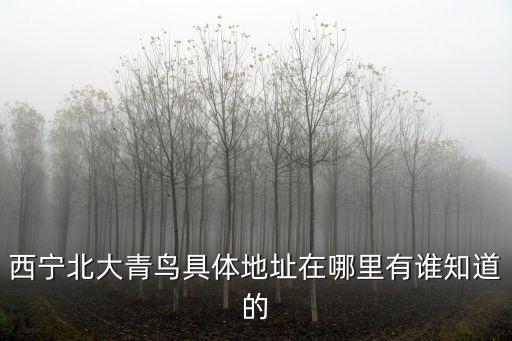 北大青鳥地址，石家莊北大青鳥學校地址在哪里