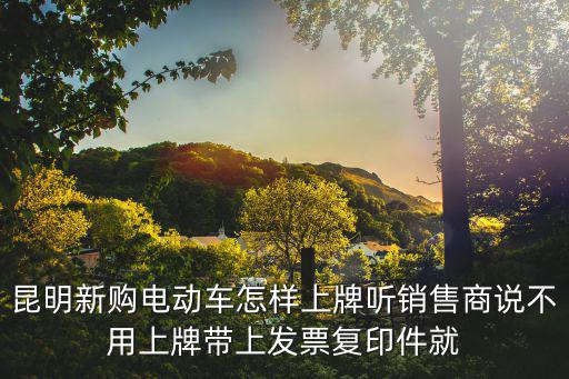 昆明新購電動車怎樣上牌聽銷售商說不用上牌帶上發票復印件就