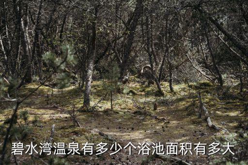 碧水灣溫泉有多少個浴池面積有多大