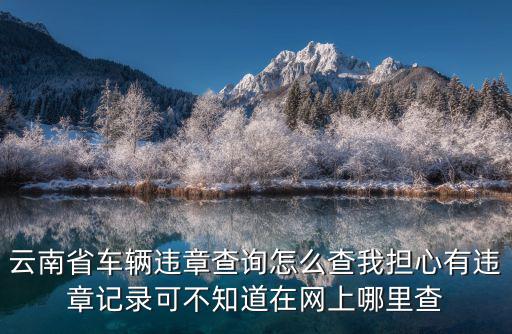 云南省車輛違章查詢怎么查我擔心有違章記錄可不知道在網上哪里查