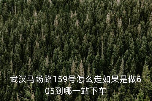 武漢馬場路159號怎么走如果是做605到哪一站下車