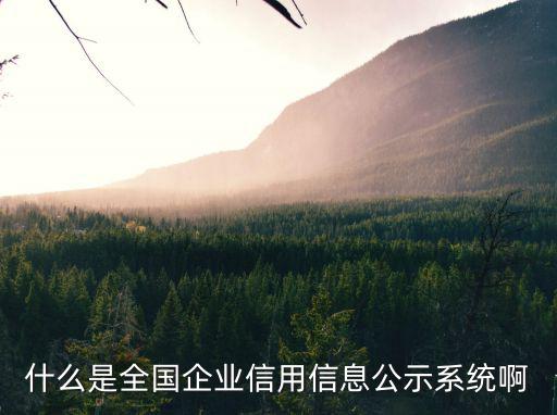 什么是全國企業信用信息公示系統啊