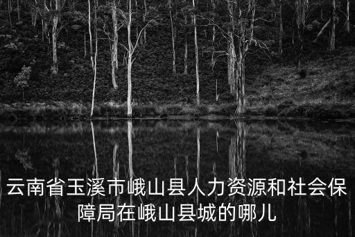 云南省玉溪市峨山縣人力資源和社會(huì)保障局在峨山縣城的哪兒