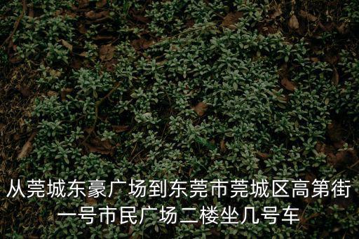 從莞城東豪廣場到東莞市莞城區(qū)高第街一號市民廣場二樓坐幾號車