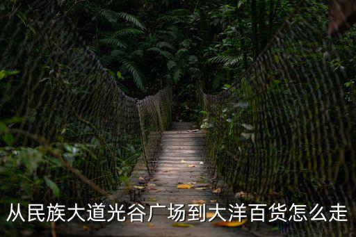 從民族大道光谷廣場到大洋百貨怎么走