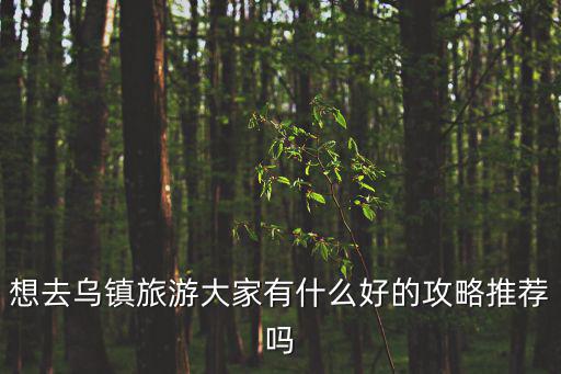 烏鎮旅游攻略，烏鎮旅游攻略圖文