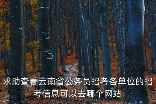 求助查看云南省公務員招考各單位的招考信息可以去哪個網站