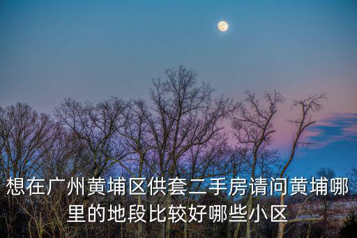 想在廣州黃埔區供套二手房請問黃埔哪里的地段比較好哪些小區