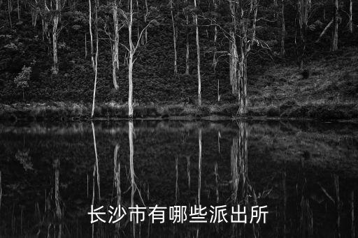 長(zhǎng)沙市有哪些派出所