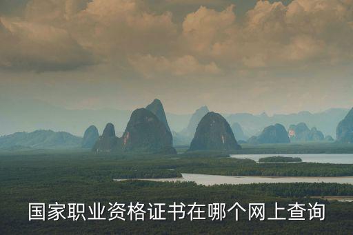 人力資源資格證書查詢，國家職業(yè)資格證書在哪個網(wǎng)上查詢