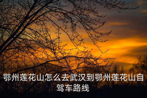 鄂州蓮花山怎么去武漢到鄂州蓮花山自駕車路線