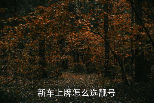 新車上牌怎么選靚號