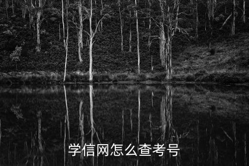 學信網怎么查考號