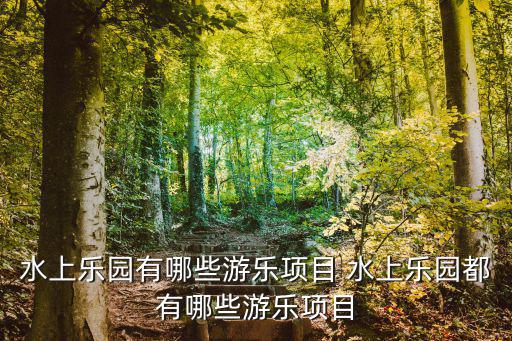 水上樂園項目，水上樂園有什么項目