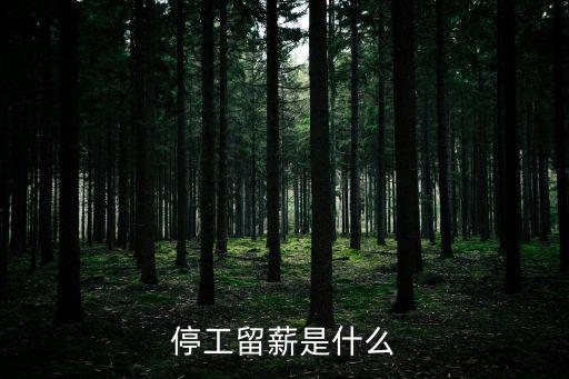 停工留薪是什么