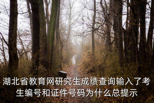 湖北省教育網(wǎng)研究生成績查詢輸入了考生編號(hào)和證件號(hào)碼為什么總提示