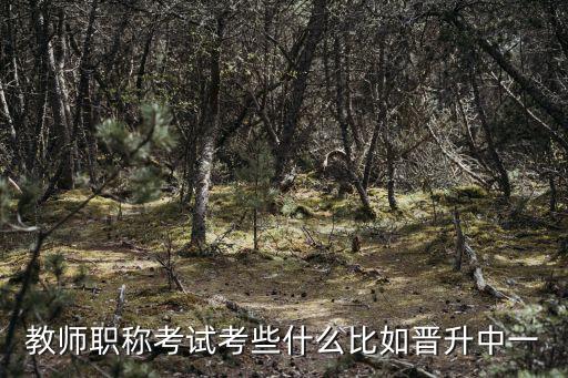 教師職稱考試考些什么比如晉升中一