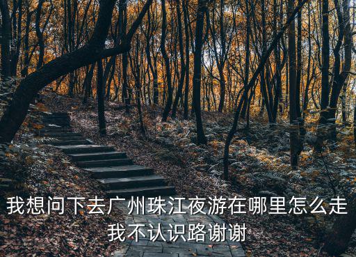 我想問下去廣州珠江夜游在哪里怎么走我不認(rèn)識(shí)路謝謝