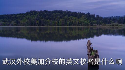 武漢外校美加分校的英文校名是什么啊