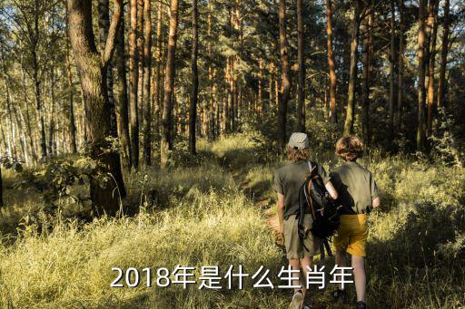 2018年是什么生肖年