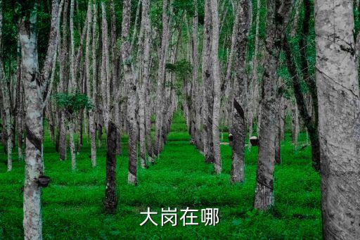 大崗在哪