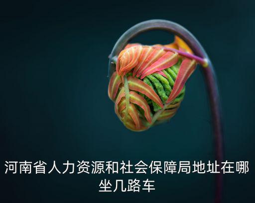 河南省人力資源和社會保障局地址在哪坐幾路車