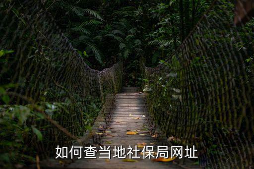 如何查當地社保局網址