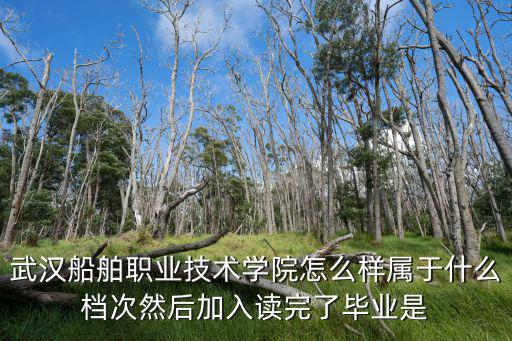 武漢船舶職業技術學院怎么樣屬于什么檔次然后加入讀完了畢業是