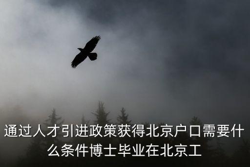 引進博士，引進青年博士項目應(yīng)該怎么翻譯