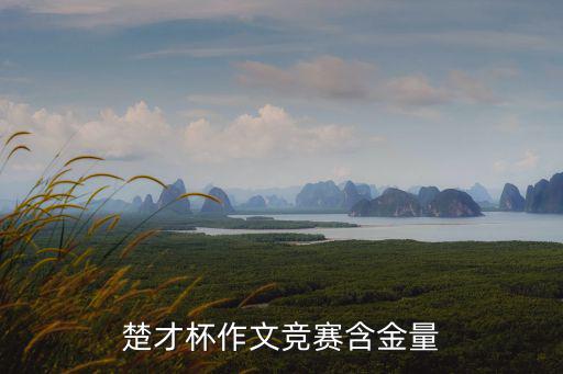 楚才杯作文競賽含金量