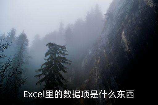 Excel里的數(shù)據(jù)項是什么東西