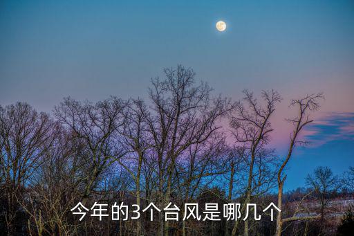 今年的3個臺風是哪幾個
