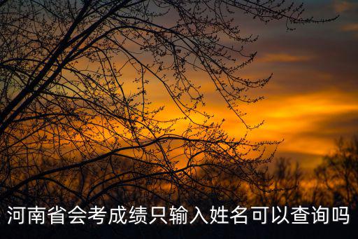 河南省會考成績只輸入姓名可以查詢嗎