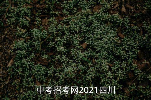 中考招考網2021四川