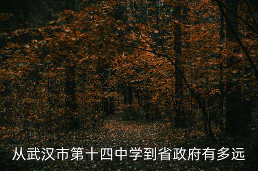 從武漢市第十四中學到省政府有多遠