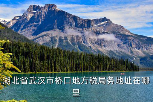湖北省武漢市橋口地方稅局務(wù)地址在哪里