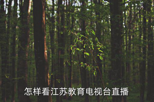 怎樣看江蘇教育電視臺直播