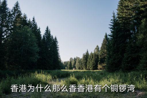香港為什么那么香香港有個銅鑼灣